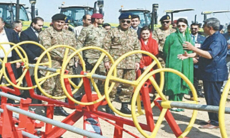 Le Pendjab Lance une Initiative Agricole Majeure pour Transformer le Cholistan