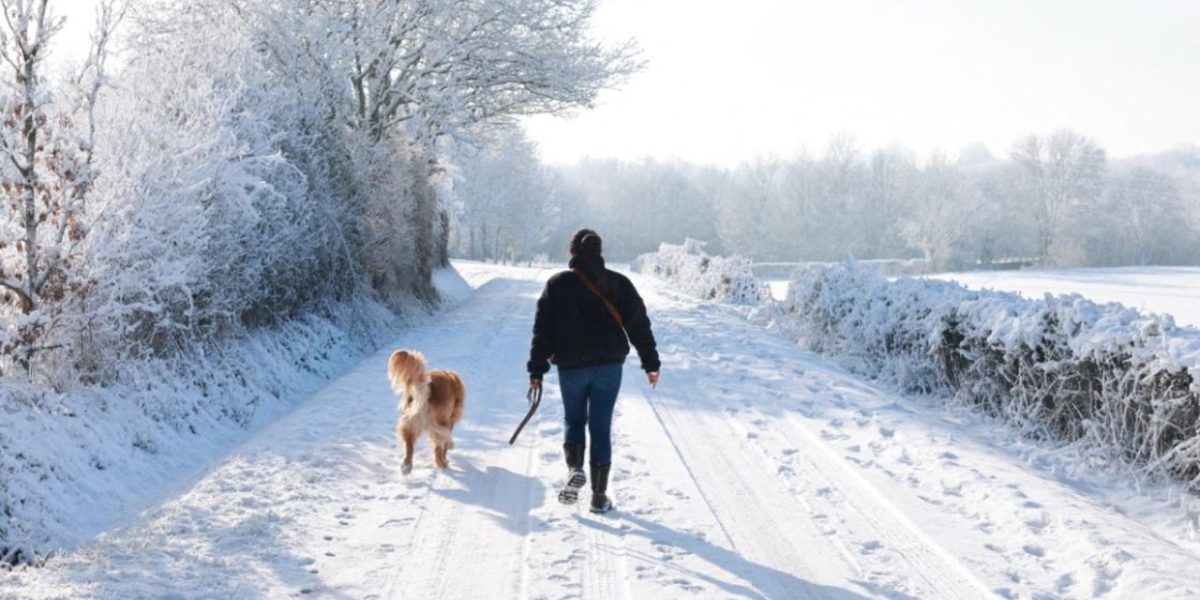 Neige à Paris et dans le Nord : alerte orange, trafic perturbé ce 15 février