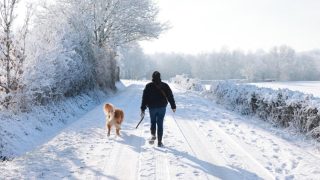 Neige à Paris et dans le Nord : alerte orange, trafic perturbé ce 15 février