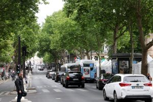 Paris : Le Projet Vert Contesté des Boulevards Saint-Michel et Saint-Germain