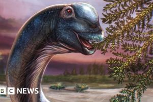 Nagatitan chaiyaphumensis : Le plus grand dinosaure d’Asie du Sud-Est découvert en Thaïlande