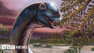 Nagatitan chaiyaphumensis : Le plus grand dinosaure d’Asie du Sud-Est découvert en Thaïlande
