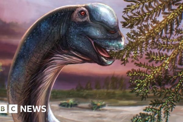Nagatitan chaiyaphumensis : Le plus grand dinosaure d’Asie du Sud-Est découvert en Thaïlande